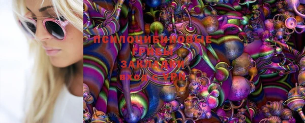 мяу мяу кристалл Алексин