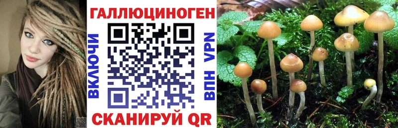 Галлюциногенные грибы GOLDEN TEACHER  MEGA сайт  Орлов 